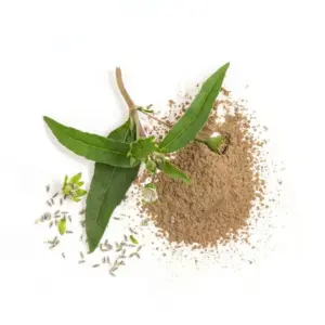 8855555002779 2.webp