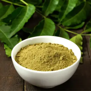 8855555002830 2.webp