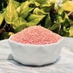 8855555003462 3.webp