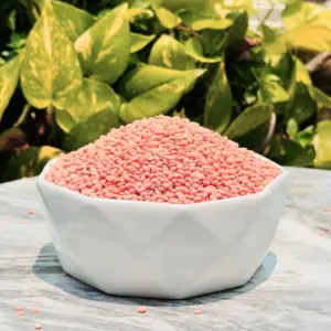 8855555003462 3.webp