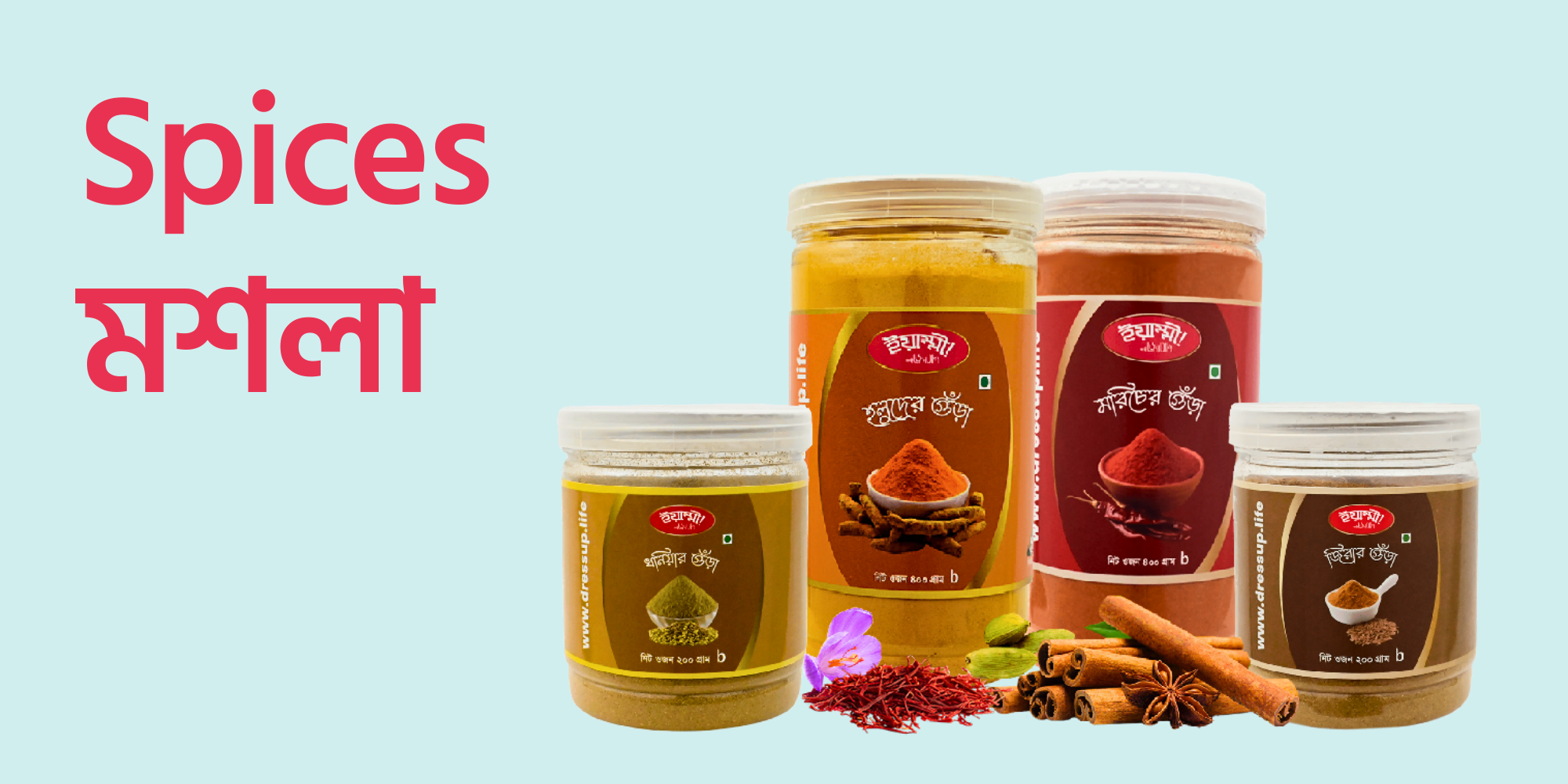 App banner spices cat yummy